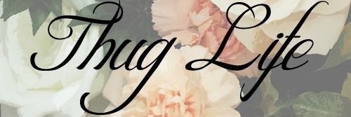 ☁️ banner