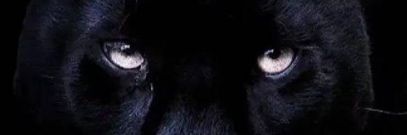 NeckvaJr's profile banner image