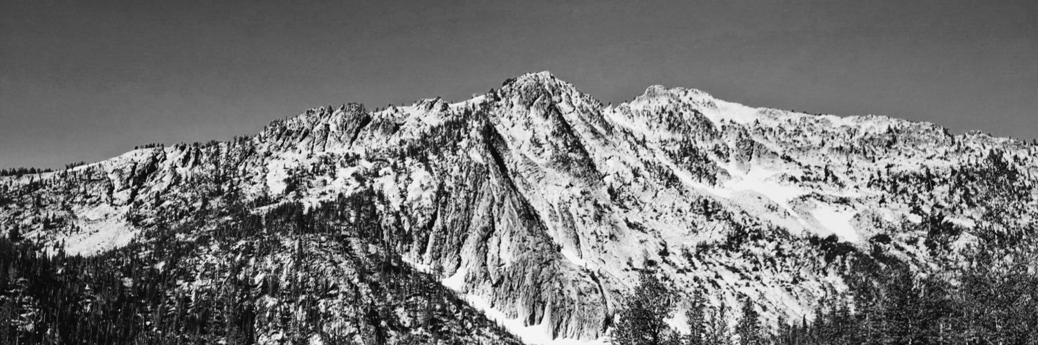 Sterling StoddⒶrd banner