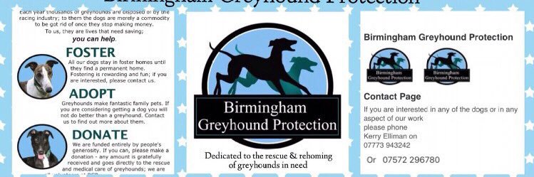 BgpDoggies's profile banner image