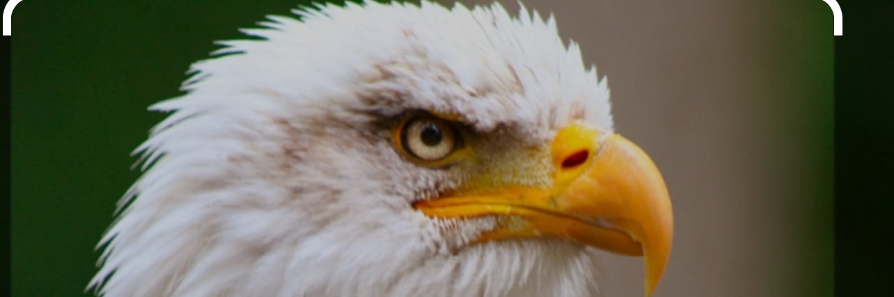 james1957A's profile banner image