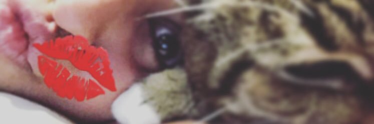 Shy Nessa banner