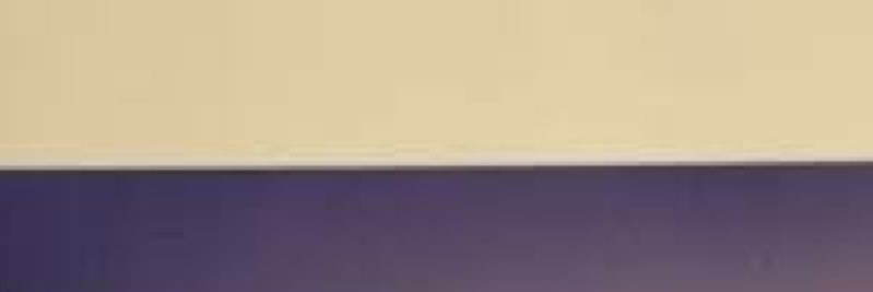 newttbio's profile banner image