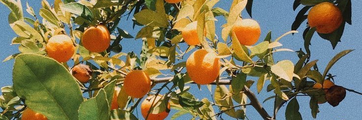 ampimmb's profile banner image