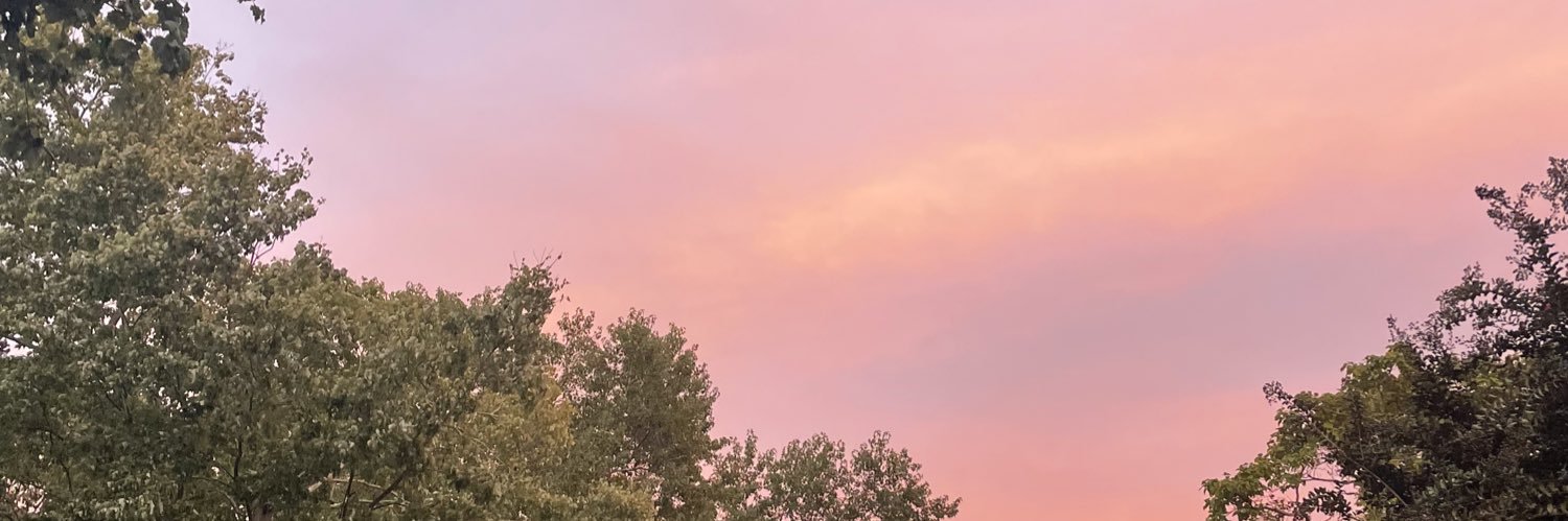 julLsimpson's profile banner image