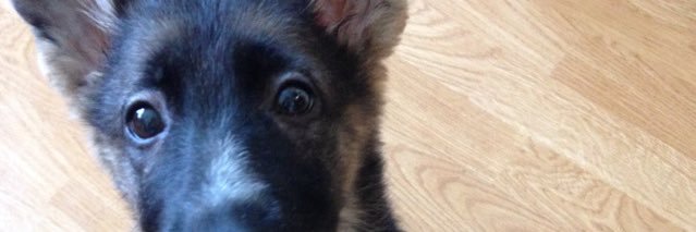 Gary McDougall banner