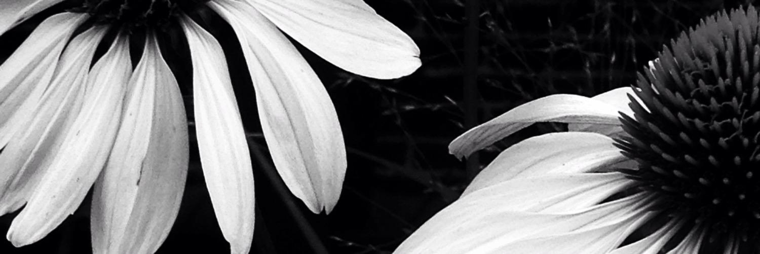 beats_ko's profile banner image