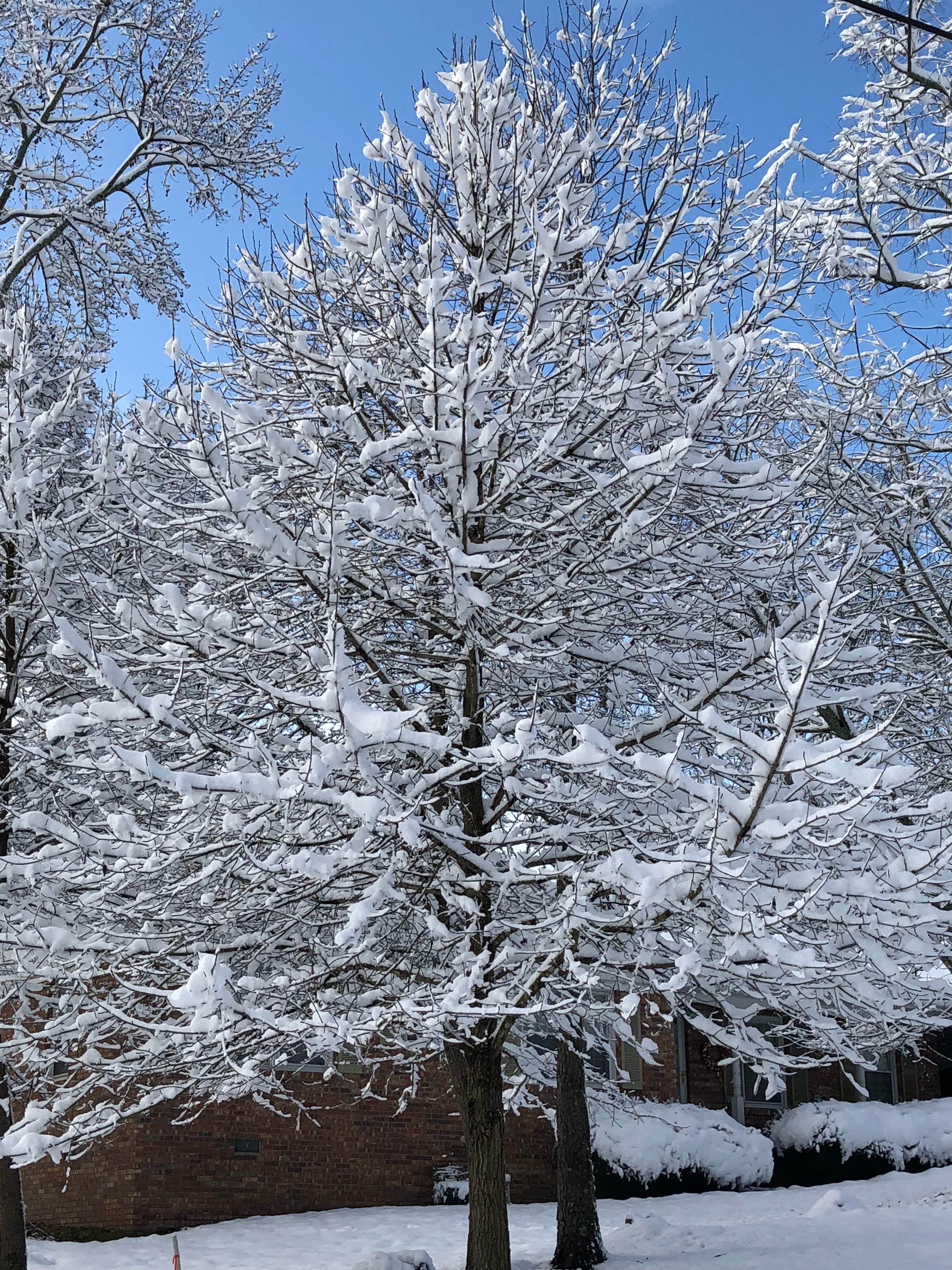 reevesginger1's profile banner image