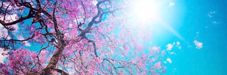 NivesMatko's profile banner image