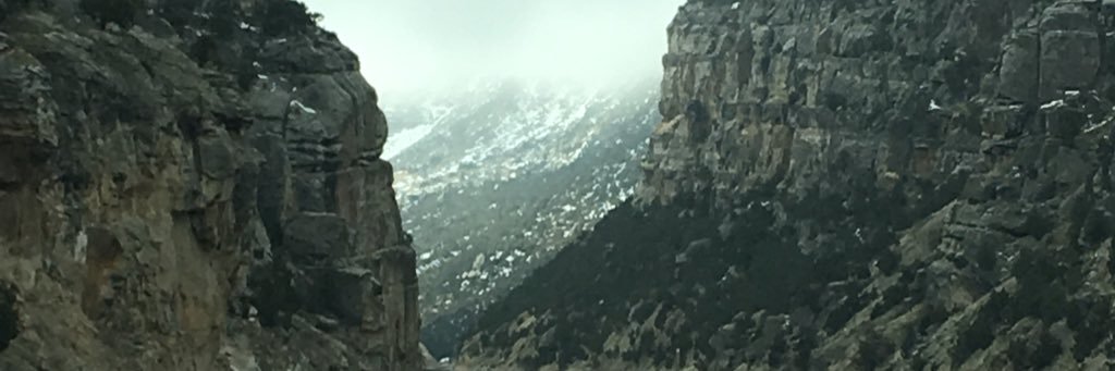 LCampbellDesign's profile banner image