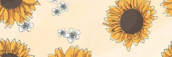 margarita banner