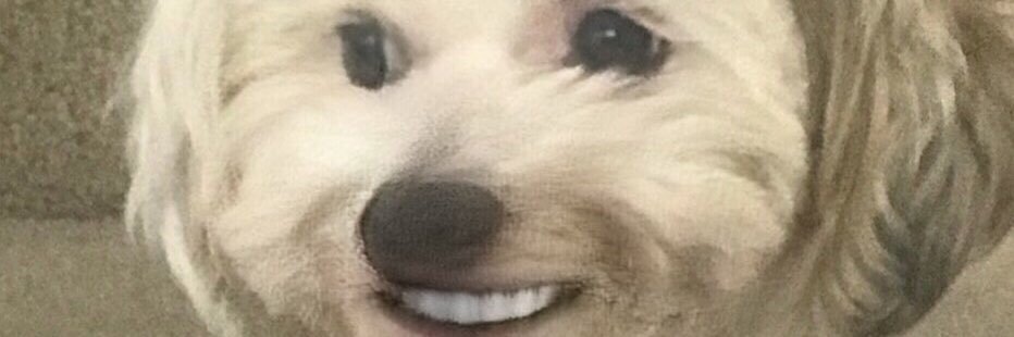 dfaxcalamity's profile banner image