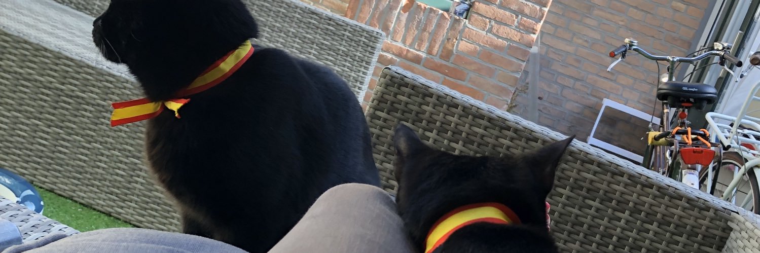 AcidaFresa's profile banner image