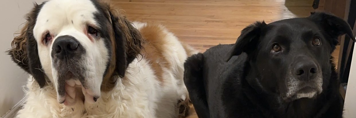 mgrriffin's profile banner image