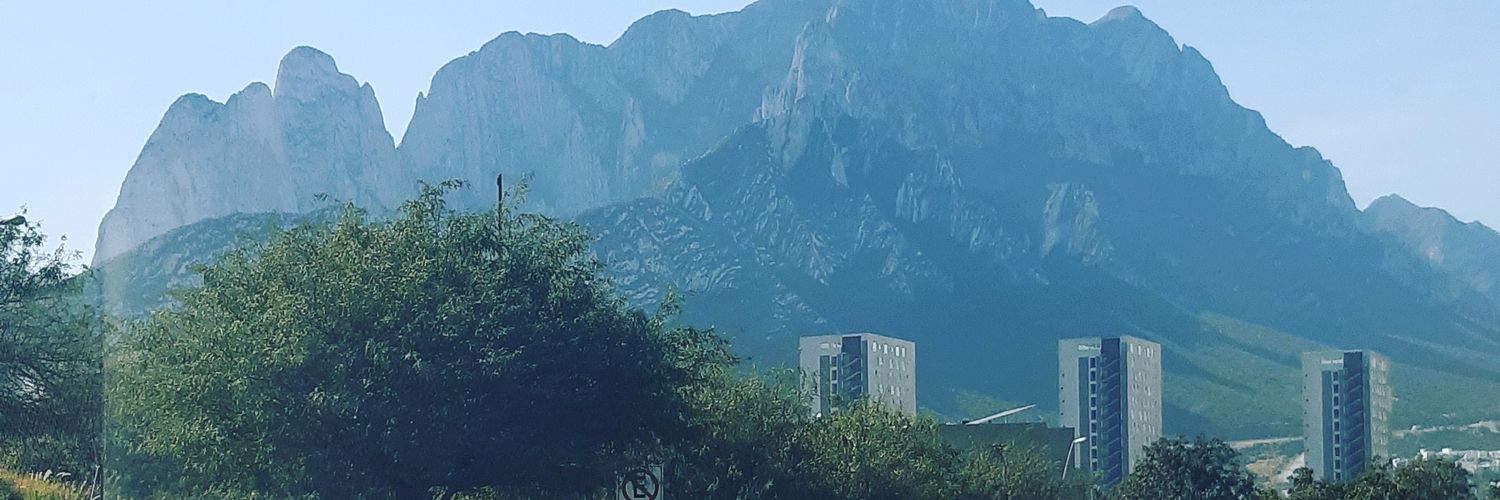 bartolium_'s profile banner image