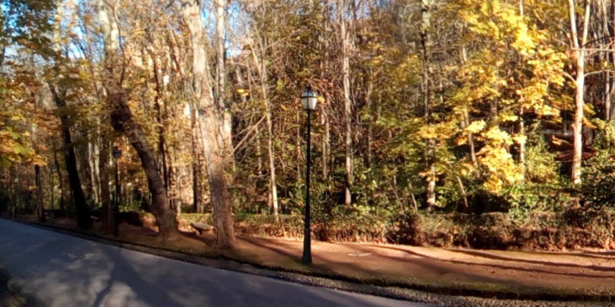 Isabel Valverde (@isabelvalverdem) / Posts / X