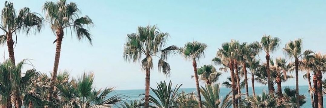 leahabary's profile banner image
