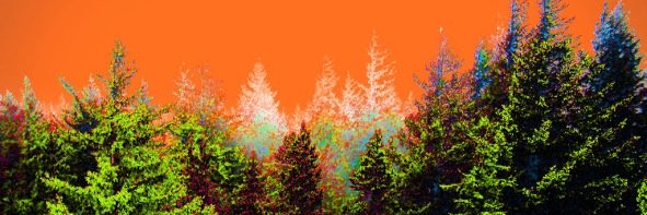 Stay_2trippy's profile banner image
