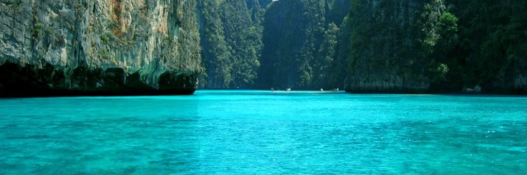 Walt Saucewater banner