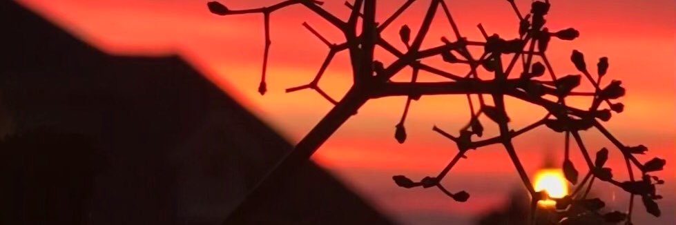 بچه تهرون banner