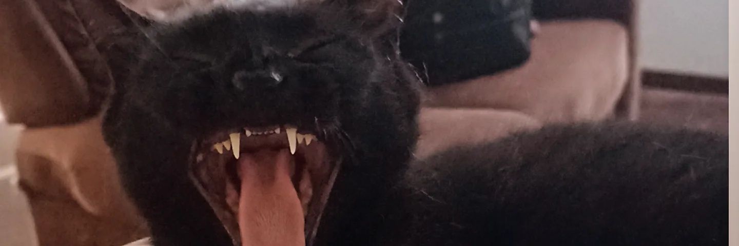 uxilei's profile banner image