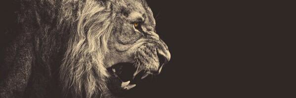 ChristianHunt54's profile banner image