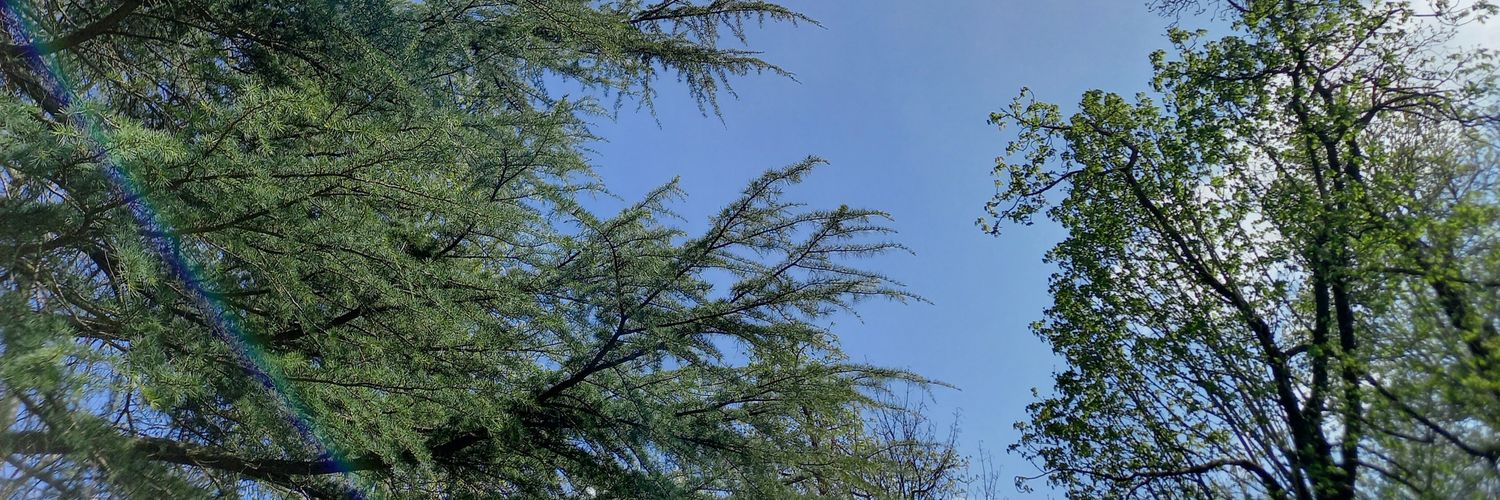 HeleneBoudinot's profile banner image