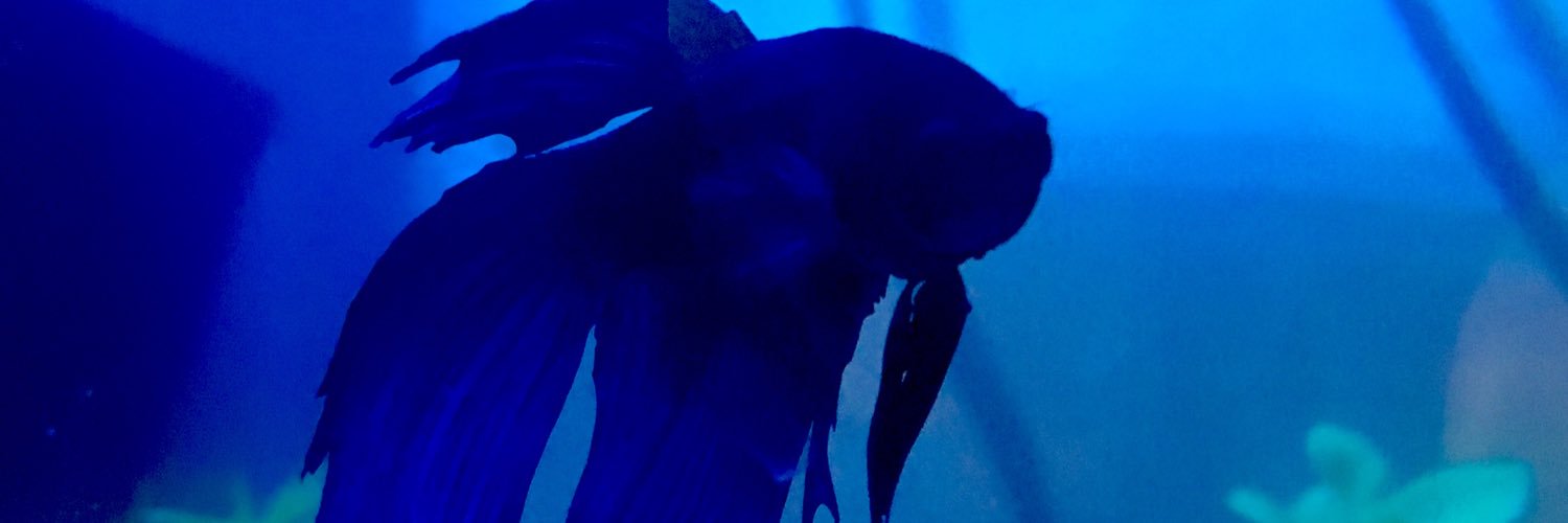 challahbackatme's profile banner image