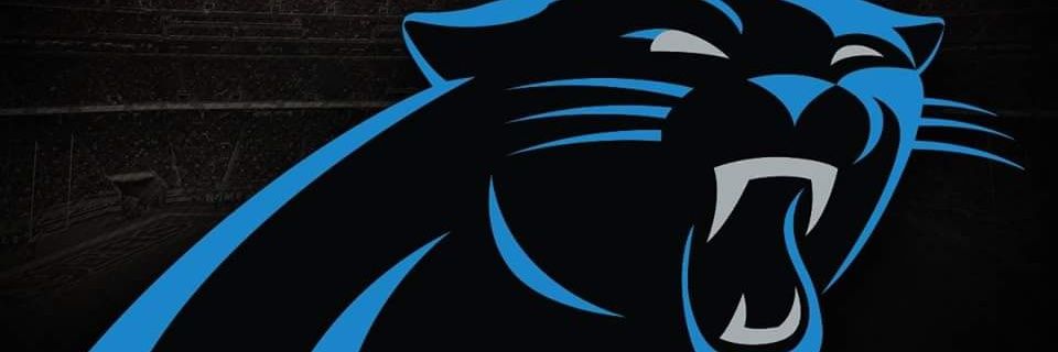 PearBear03's profile banner image