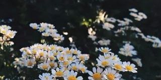 heygracew's profile banner image