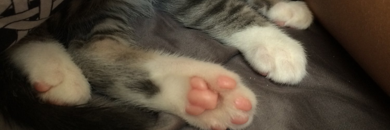 messkelly's profile banner image