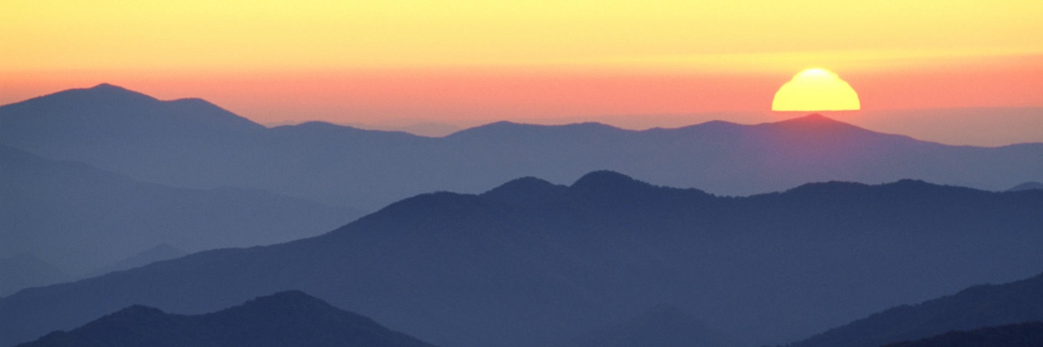 LisaKelley1's profile banner image