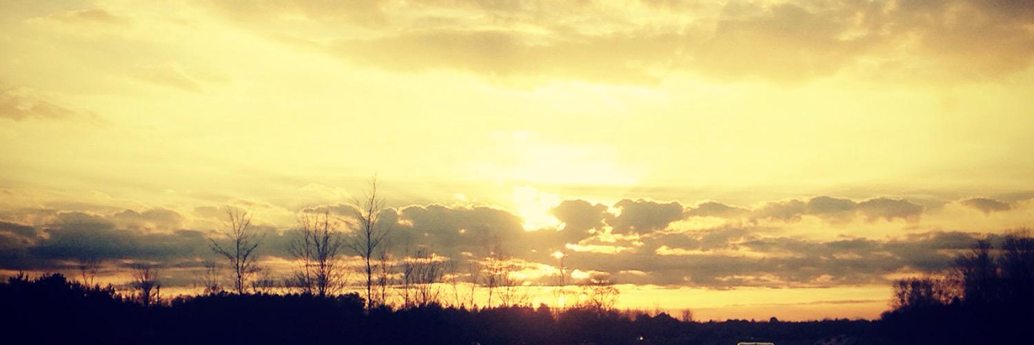 Stacceyx0's profile banner image