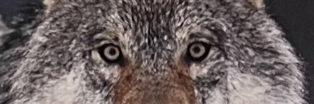 HenryCarruth's profile banner image