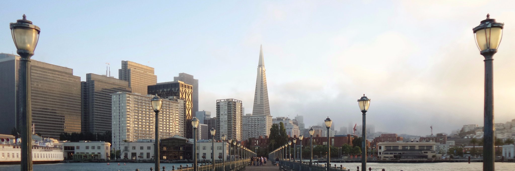 StartupUSF's profile banner image