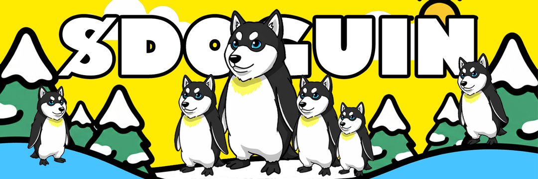 DoguinSolana's profile banner image