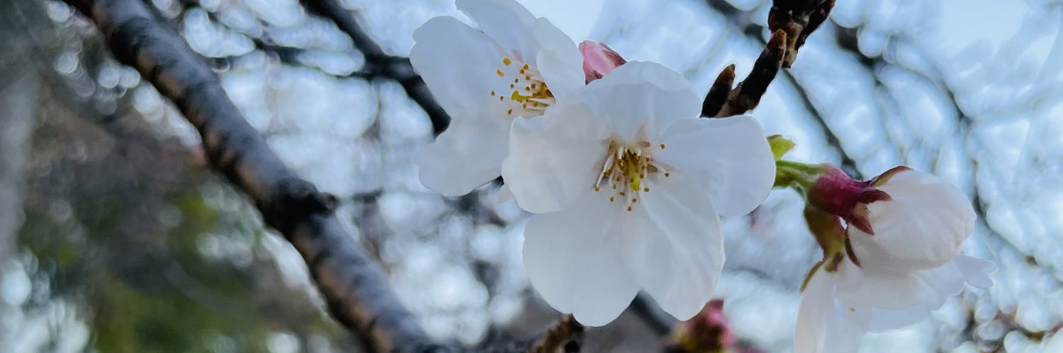 kaicho_haen's profile banner image