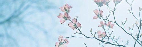 ghram_21's profile banner image