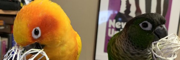 CLennyWiebs Profile Banner