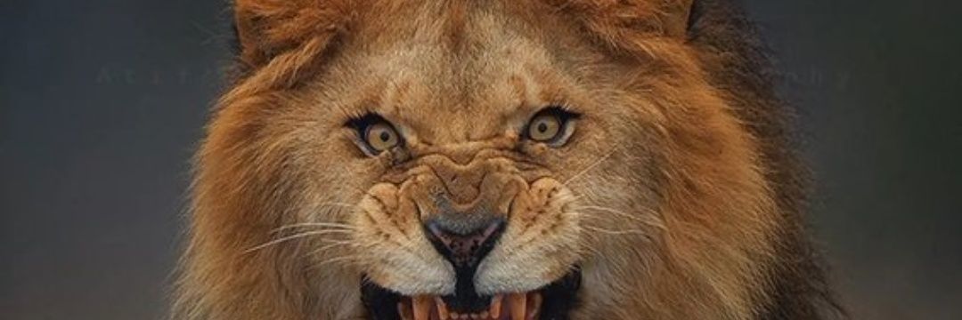 rambottsaul's profile banner image