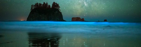 MoonPotency Profile Banner