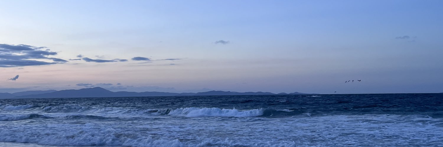 AlvarezFlaa's profile banner image