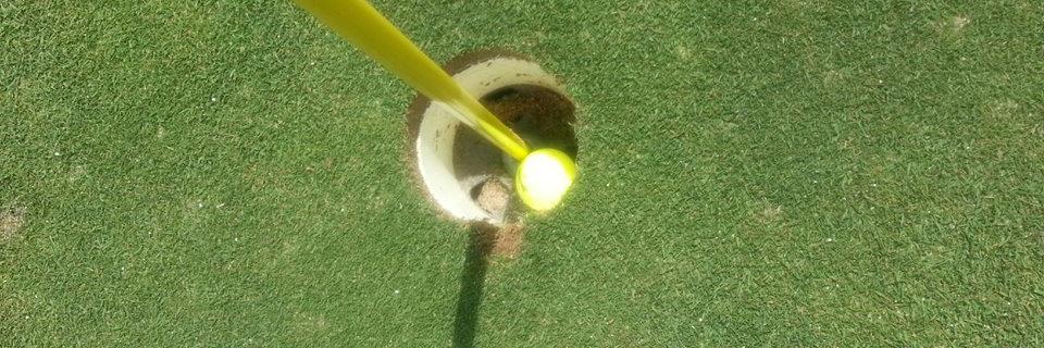 Phillip Scheldt banner