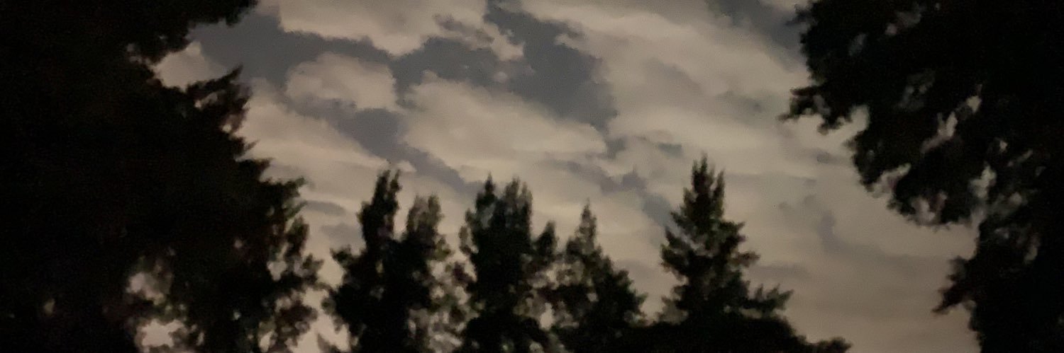 ani_micozzi's profile banner image