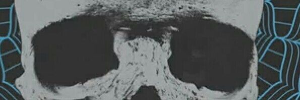 danfobia53h's profile banner image