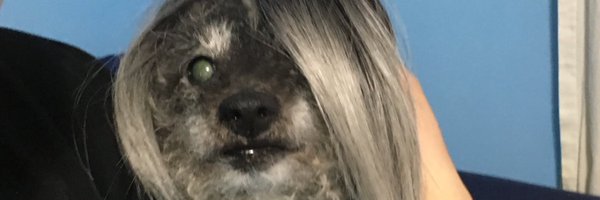cohntent Profile Banner