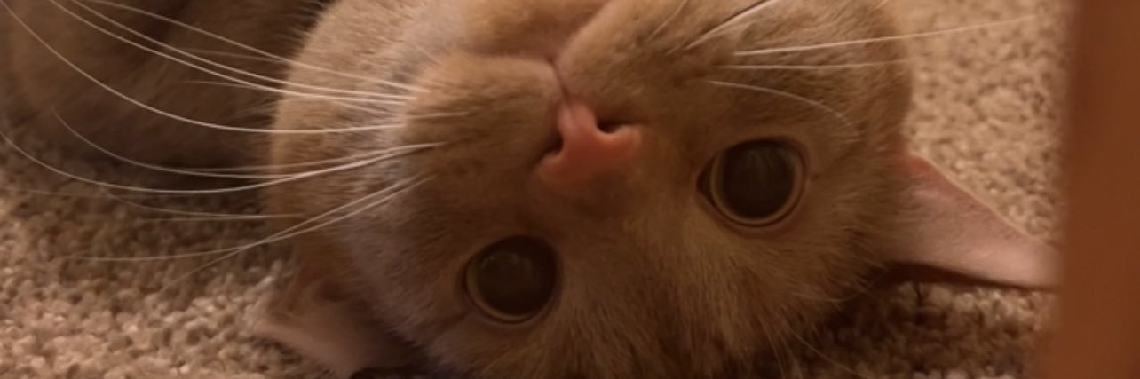 sarrwebb13's profile banner image