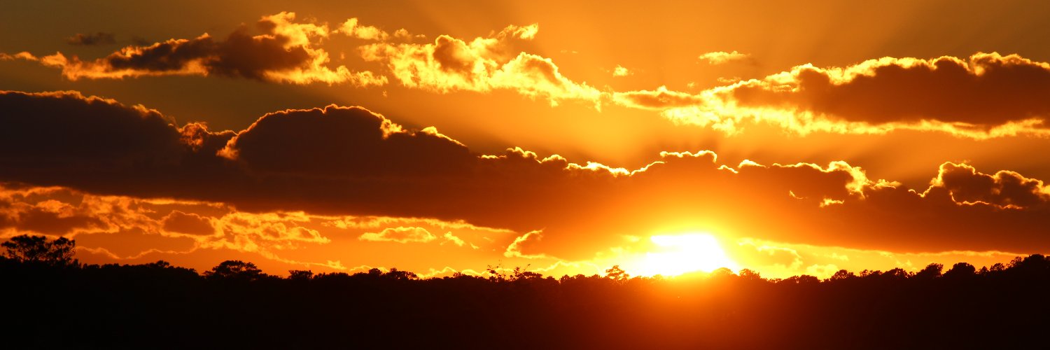 celestemjordan's profile banner image