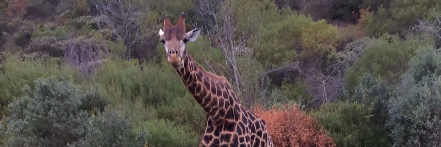 Dr. Courtneay Hopper banner