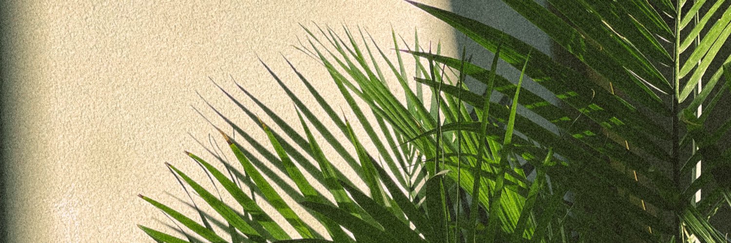 baileyjlaber's profile banner image